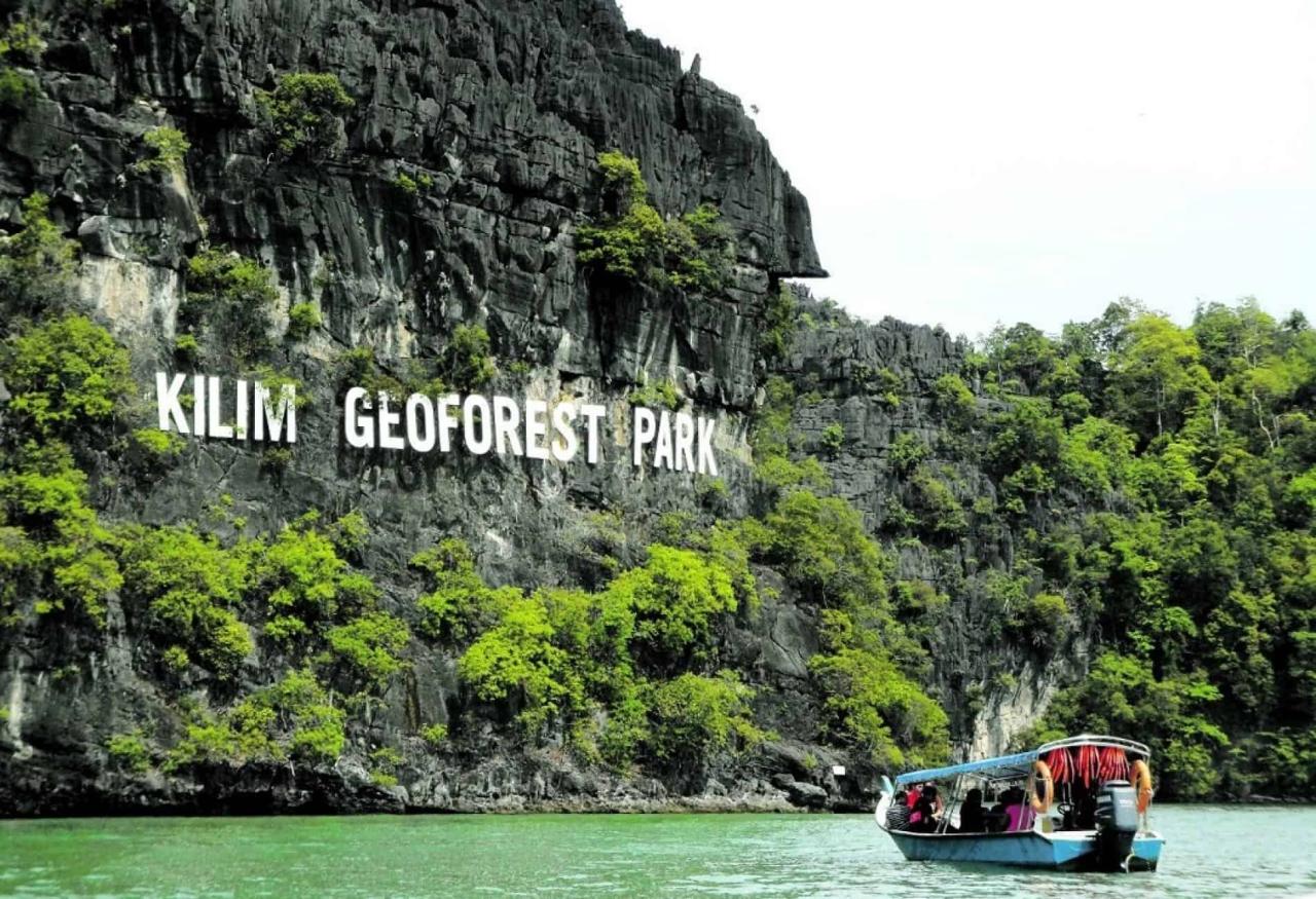 Eksplorasi Mangrove Langkawi: Tur Alam Menakjubkan